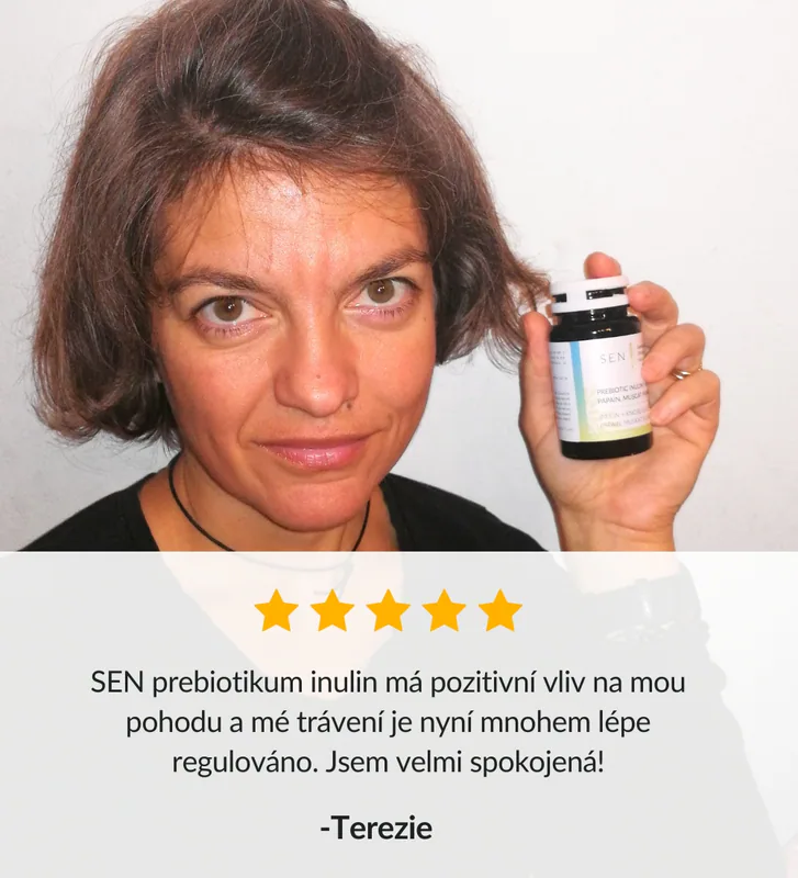 Recenze inulin