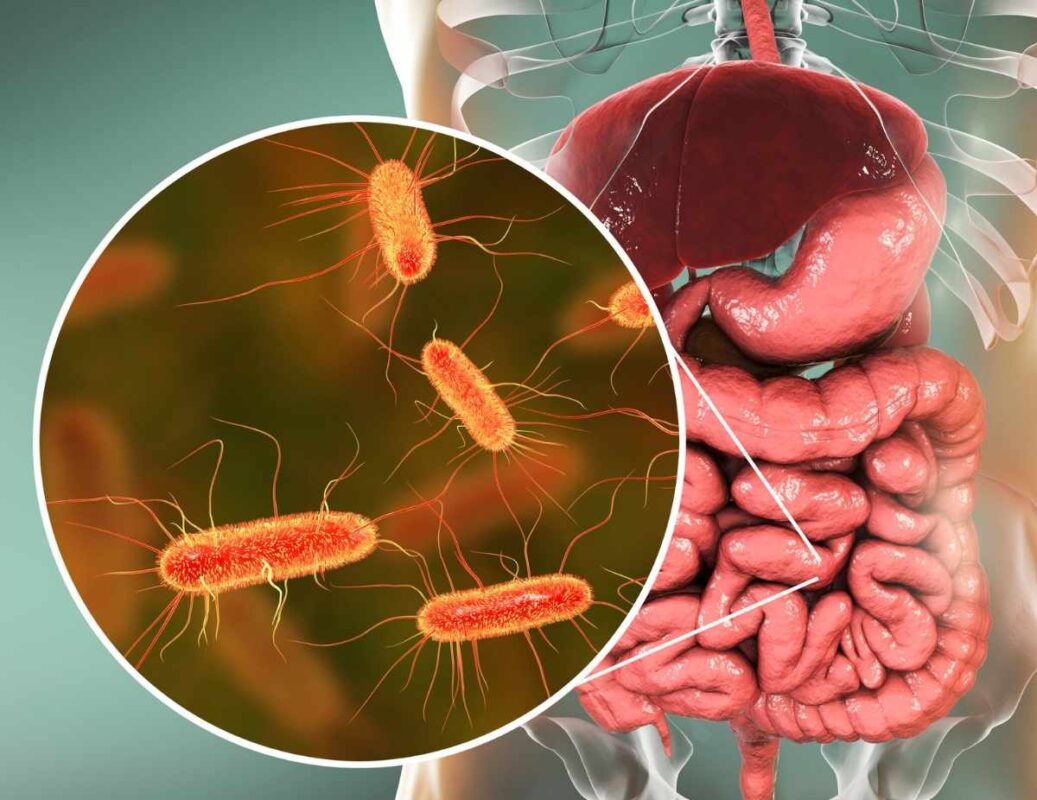 Střevní mikrobiota (mikroflóra) – co to je a proč je důležitá