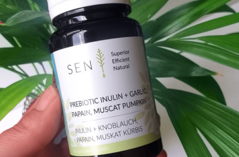 Prebiotikum inulin